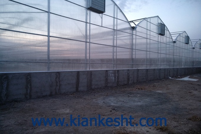 گلخانه گاتیک اسپانیا در چناران | پروژه اجرایی کیانکشت