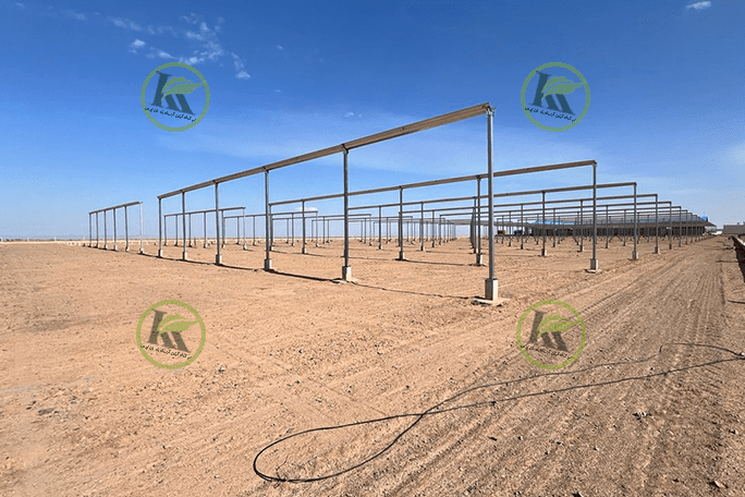 گلخانه گاتیک اسپانیا در شهرستان بجستان | پروژه اجرایی کیان کشت