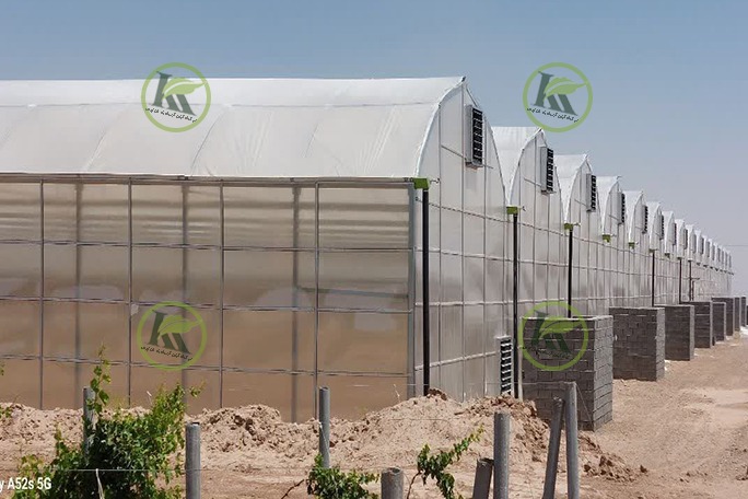 گلخانه گاتیک اسپانیا در تایباد | پروژه اجرایی کیان کشت