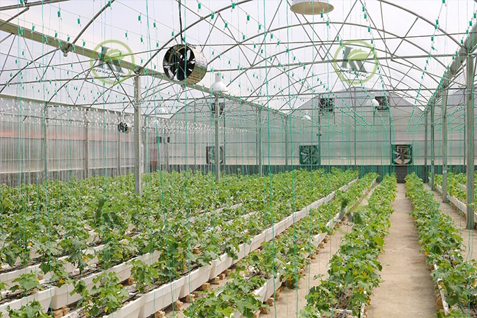 گلخانه سازه پایه بتنی و هیدروپونیک
