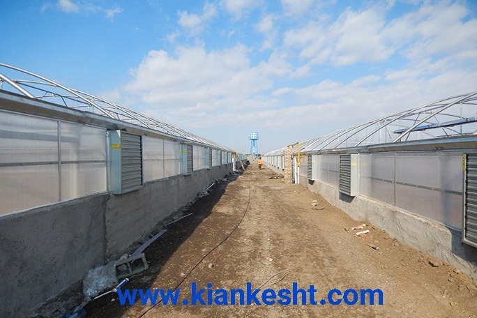 گلخانه سیرکولار اسپانیا بذر یکتا | پروژه اجرایی کیانکشت