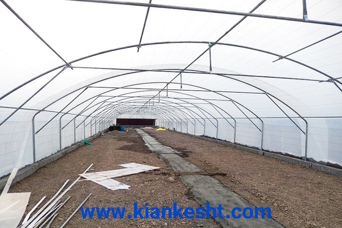 گلخانه سیرکولار ایرانی در دانشگاه فردوسی مشهد | پروژه اجرایی کیانکشت