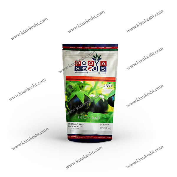 بذر بادمجان دلمه بلک بیوتی