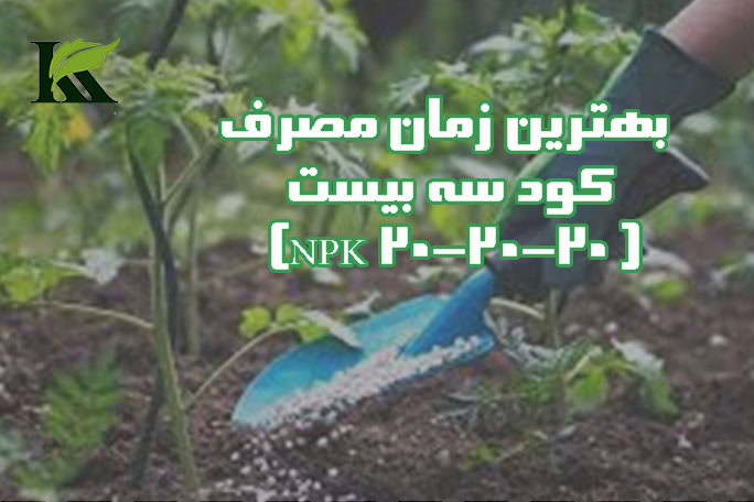 بهترین زمان مصرف کود سه بیست (NPK 20-20-20 )