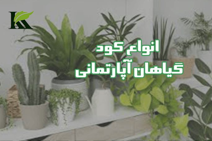 انواع کود گیاهان آپارتمانی