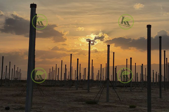 گلخانه نتهاوس در شهر دامغان| پروژه اجرایی کیان کشت